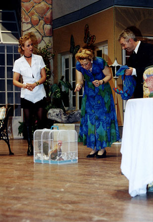 Surprise 2000 8